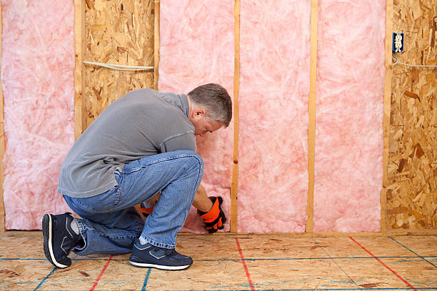 Best Geographic-Specific Insulation Services in Vineyard, UT