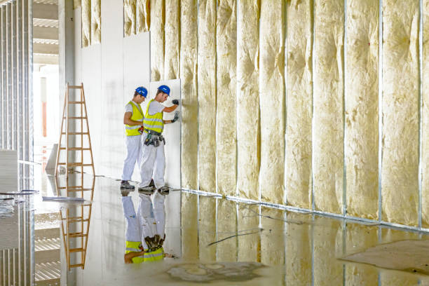 Best Energy Efficiency Insulation in Vineyard, UT